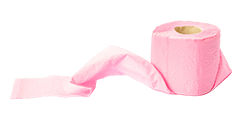 toilettenpapier_icon_schweiz